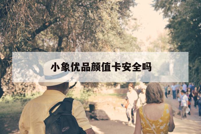 小象优品颜值卡安全吗 第1张 小象优品颜值卡安全吗 第1张