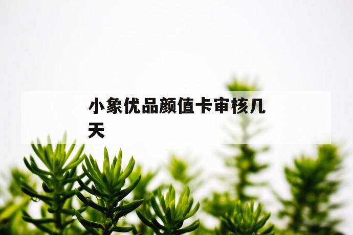 小象优品颜值卡审核几天 第1张 小象优品颜值卡审核几天 第1张