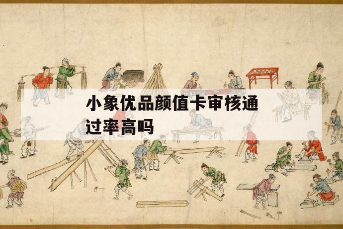 小象优品颜值卡审核通过率高吗 第1张 小象优品颜值卡审核通过率高吗 第1张