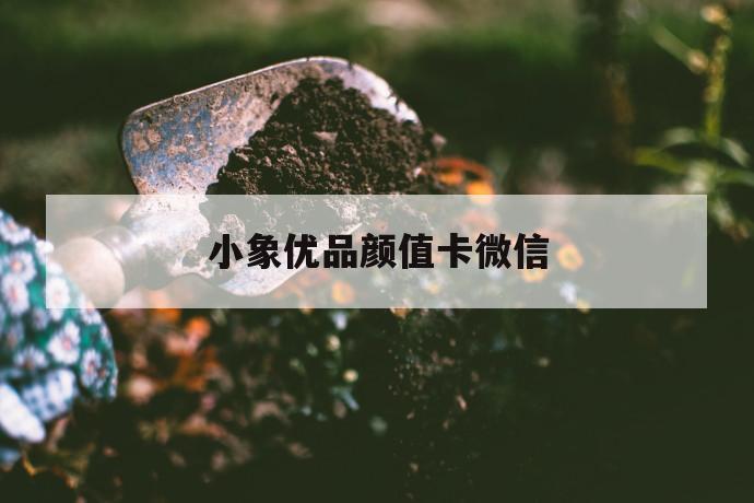 小象优品颜值卡微信 第1张 小象优品颜值卡微信 第1张