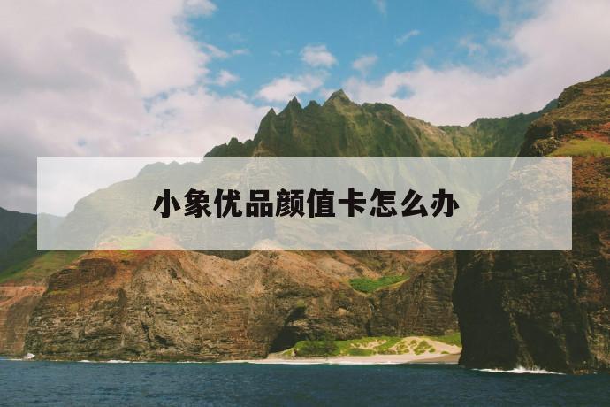 小象优品颜值卡怎么办 第1张 小象优品颜值卡怎么办 第1张