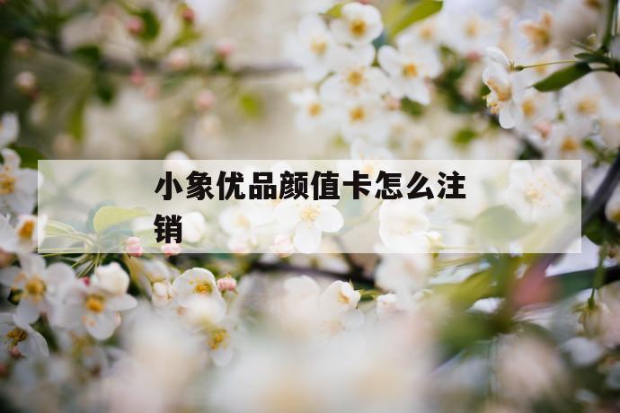 小象优品颜值卡怎么注销 第1张 小象优品颜值卡怎么注销 第1张