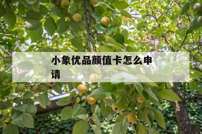 小象优品颜值卡怎么申请 第1张 小象优品颜值卡怎么申请 第1张