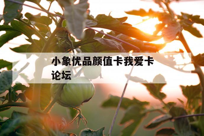 小象优品颜值卡我爱卡论坛 第1张 小象优品颜值卡我爱卡论坛 第1张