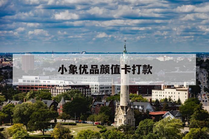 小象优品颜值卡打款 第1张 小象优品颜值卡打款 第1张