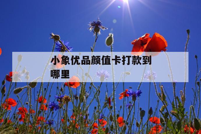 小象优品颜值卡打款到哪里 第1张 小象优品颜值卡打款到哪里 第1张