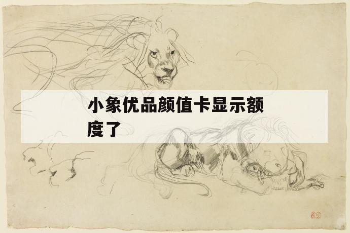 小象优品颜值卡显示额度了 第1张 小象优品颜值卡显示额度了 第1张