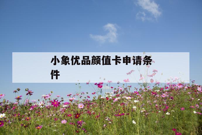 小象优品颜值卡申请条件 第1张 小象优品颜值卡申请条件 第1张
