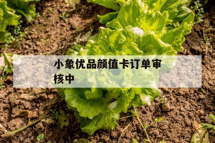 小象优品颜值卡订单审核中 第1张 小象优品颜值卡订单审核中 第1张