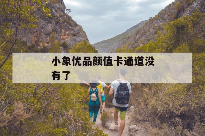 小象优品颜值卡通道没有了 第1张 小象优品颜值卡通道没有了 第1张