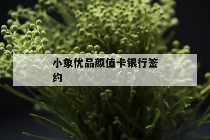 小象优品颜值卡银行签约 第1张 小象优品颜值卡银行签约 第1张