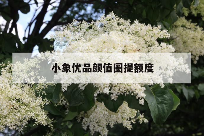 小象优品颜值圈提额度 第1张 小象优品颜值圈提额度 第1张