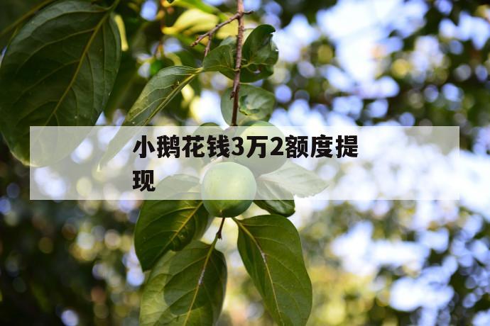 小鹅花钱3万2额度提现 第1张 小鹅花钱3万2额度提现 第1张