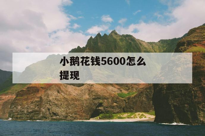 小鹅花钱5600怎么提现 第1张