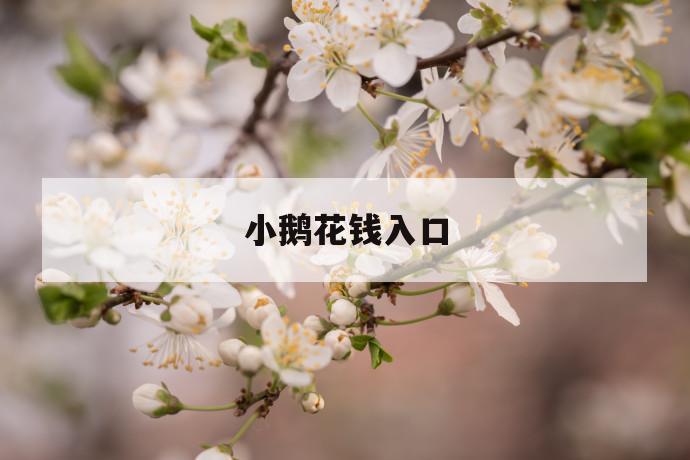 小鹅花钱入口 第1张 小鹅花钱入口 第1张