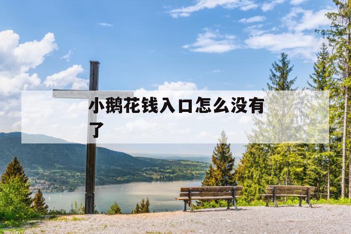 小鹅花钱入口怎么没有了 第1张 小鹅花钱入口怎么没有了 第1张