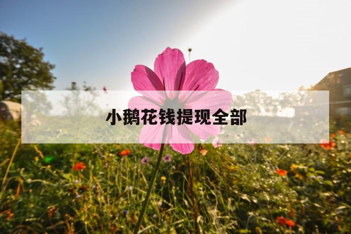 小鹅花钱提现全部 第1张 小鹅花钱提现全部 第1张
