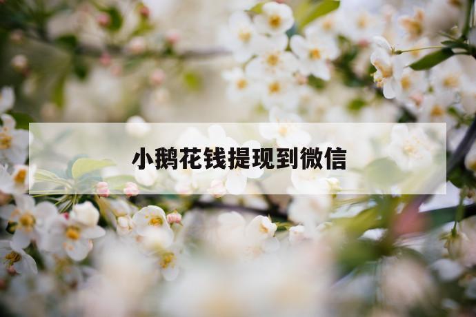 小鹅花钱提现到微信 第1张 小鹅花钱提现到微信 第1张