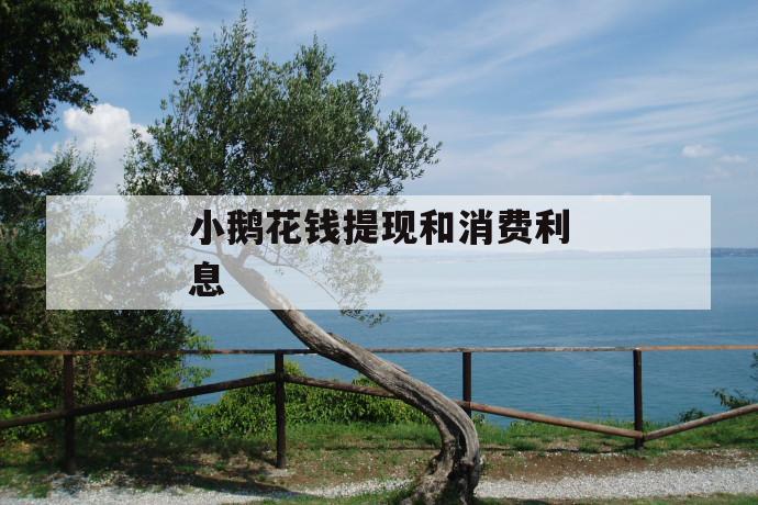 小鹅花钱提现和消费利息 第1张 小鹅花钱提现和消费利息 第1张