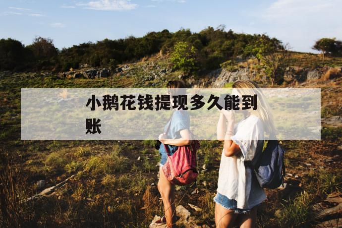 小鹅花钱提现多久能到账 第1张 小鹅花钱提现多久能到账 第1张