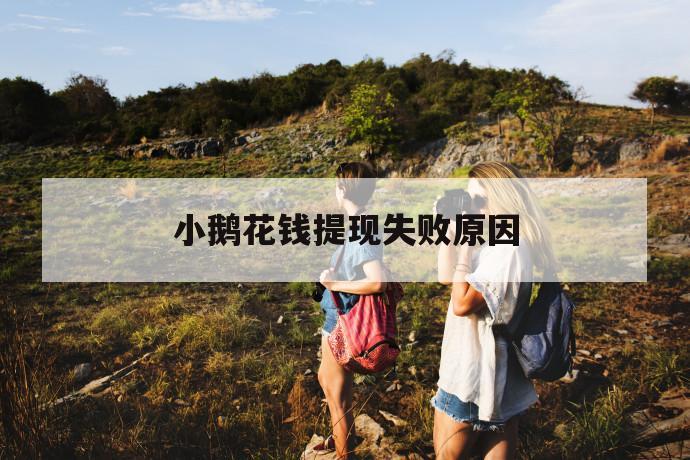 小鹅花钱提现失败原因 第1张 小鹅花钱提现失败原因 第1张