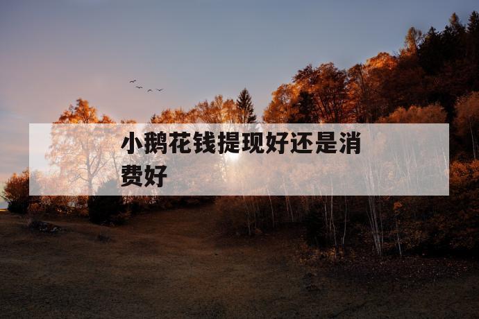 小鹅花钱提现好还是消费好 第1张 小鹅花钱提现好还是消费好 第1张