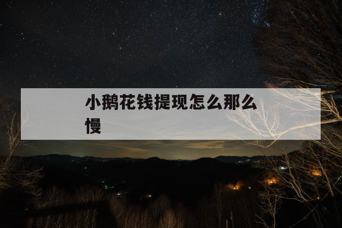 小鹅花钱提现怎么那么慢 第1张 小鹅花钱提现怎么那么慢 第1张