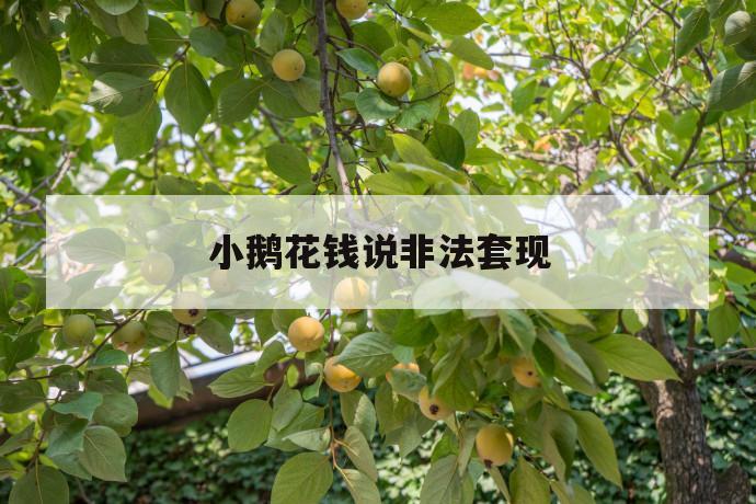 小鹅花钱说非法套现 第1张 小鹅花钱说非法套现 第1张