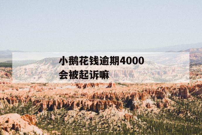 小鹅花钱逾期4000会被起诉嘛 第1张 小鹅花钱逾期4000会被起诉嘛 第1张
