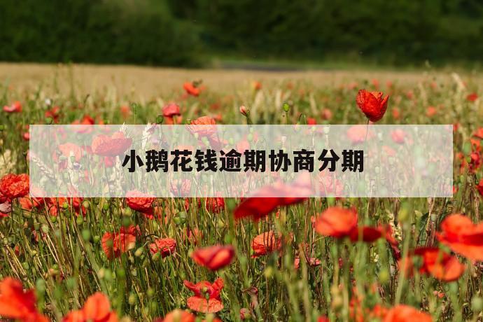 小鹅花钱逾期协商分期 第1张 小鹅花钱逾期协商分期 第1张