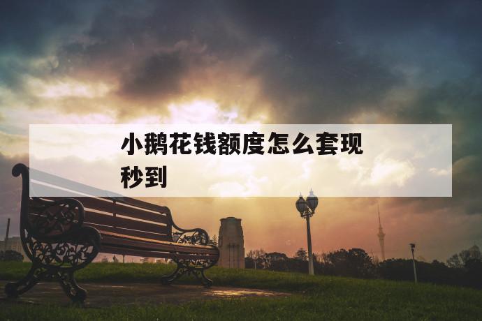 小鹅花钱额度怎么套现秒到 第1张 小鹅花钱额度怎么套现秒到 第1张