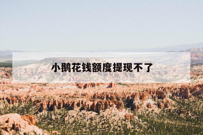 小鹅花钱额度提现不了 第1张 小鹅花钱额度提现不了 第1张