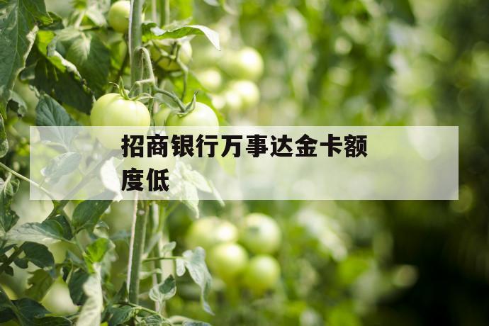 招商银行万事达金卡额度低 第1张 招商银行万事达金卡额度低 第1张