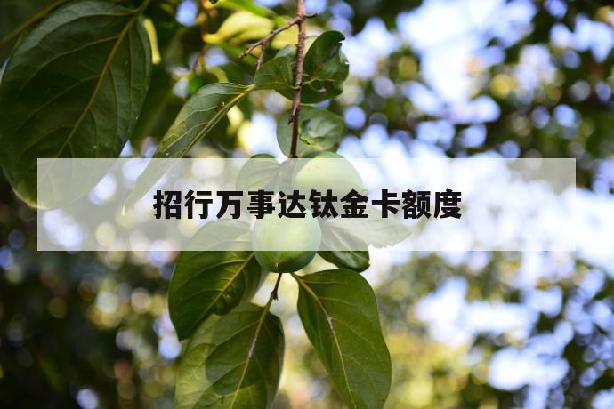 招行万事达钛金卡额度 第1张 招行万事达钛金卡额度 第1张
