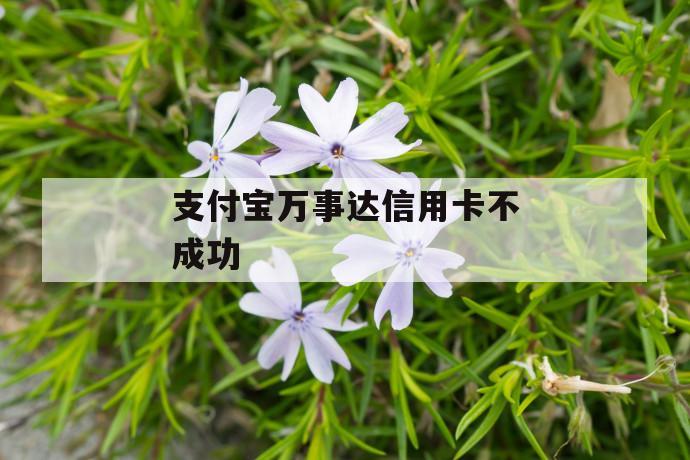 支付宝万事达信用卡不成功 第1张 支付宝万事达信用卡不成功 第1张