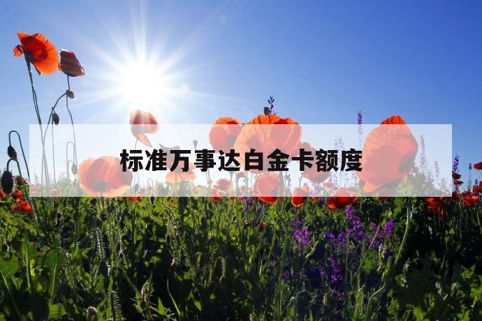标准万事达白金卡额度 第1张 标准万事达白金卡额度 第1张