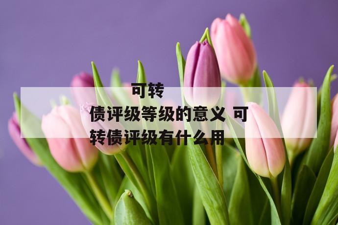 可转债评级等级的意义 可转债评级有什么用
第1张
可转债评级等级的意义 可转债评级有什么用
第1张