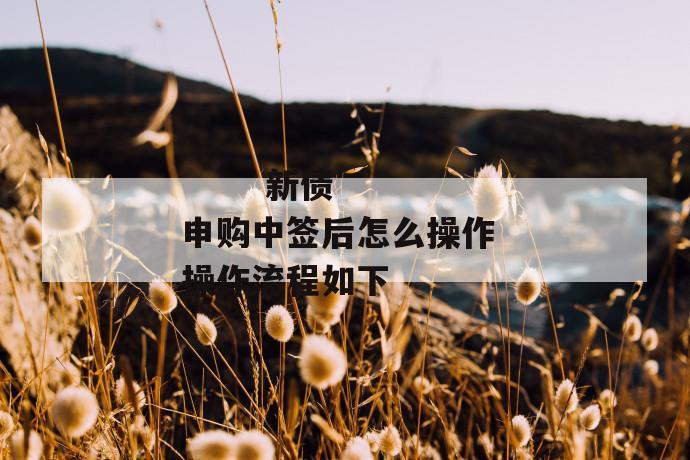 新债申购中签后怎么操作 操作流程如下
第1张
新债申购中签后怎么操作 操作流程如下
第1张