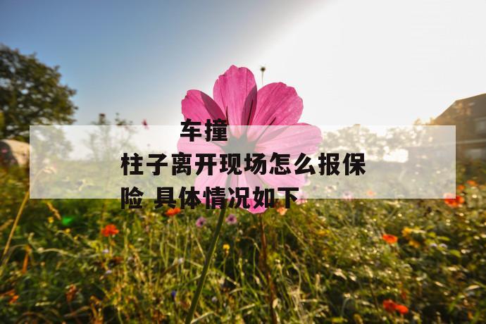 车撞柱子离开现场怎么报保险 具体情况如下
第1张
车撞柱子离开现场怎么报保险 具体情况如下
第1张