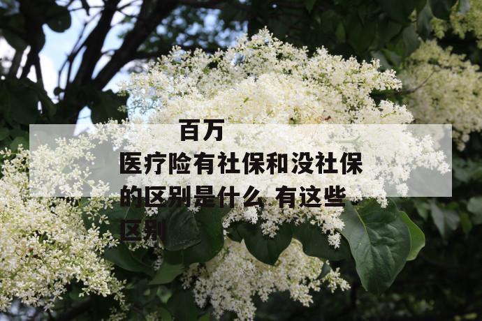 百万医疗险有社保和没社保的区别是什么 有这些区别
第1张
百万医疗险有社保和没社保的区别是什么 有这些区别
第1张