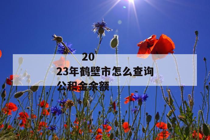 2023年鹤壁市怎么查询公积金余额
第1张
2023年鹤壁市怎么查询公积金余额
第1张