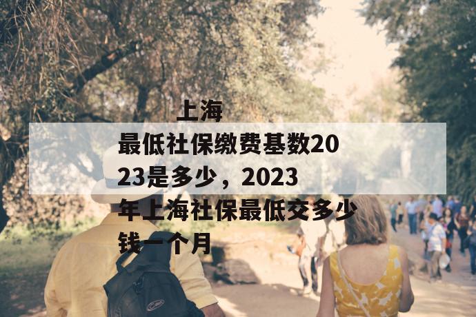 上海最低社保缴费基数2023是多少,2023年上海社保最低交多少钱一个月
第1张
上海最低社保缴费基数2023是多少,2023年上海社保最低交多少钱一个月
第1张