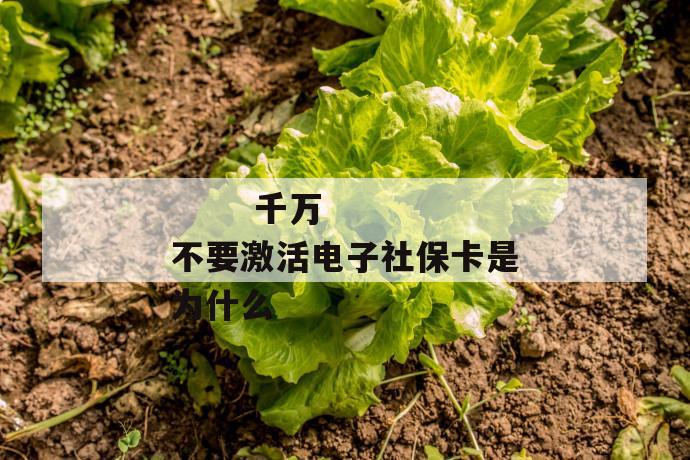 千万不要激活电子社保卡是为什么
第1张
千万不要激活电子社保卡是为什么
第1张