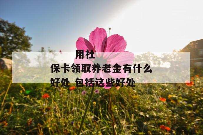 用社保卡领取养老金有什么好处 包括这些好处
第1张
用社保卡领取养老金有什么好处 包括这些好处
第1张