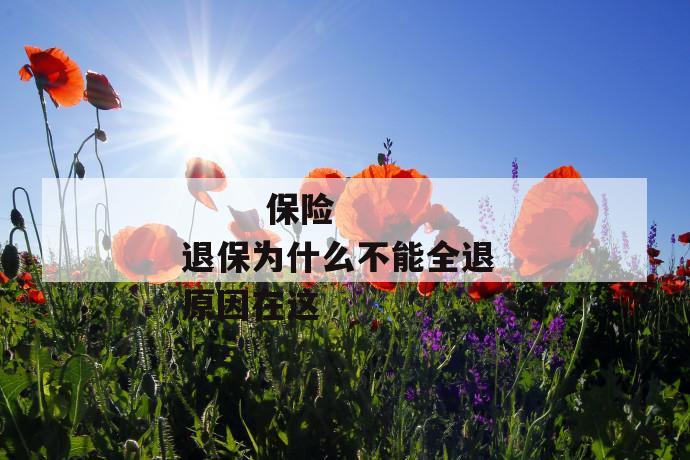 保险退保为什么不能全退 原因在这
第2张
保险退保为什么不能全退 原因在这
第2张