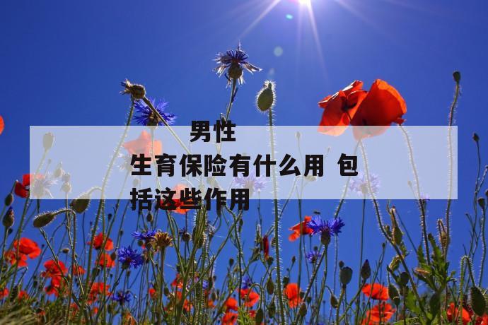 男性生育保险有什么用 包括这些作用
第1张
男性生育保险有什么用 包括这些作用
第1张