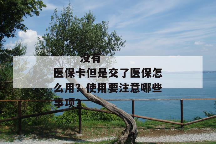 没有医保卡但是交了医保怎么用?使用要注意哪些事项?
第1张
没有医保卡但是交了医保怎么用?使用要注意哪些事项?
第1张