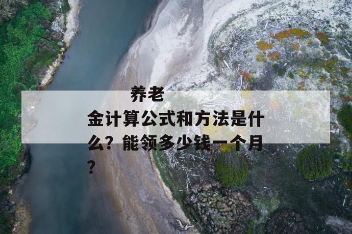 养老金计算公式和方法是什么?能领多少钱一个月?
第1张
养老金计算公式和方法是什么?能领多少钱一个月?
第1张