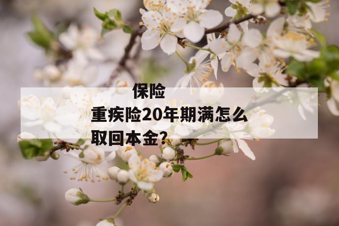 保险重疾险20年期满怎么取回本金?
第1张
保险重疾险20年期满怎么取回本金?
第1张