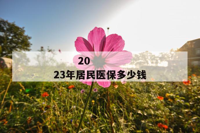 
  2023年居民医保多少钱
 第1张